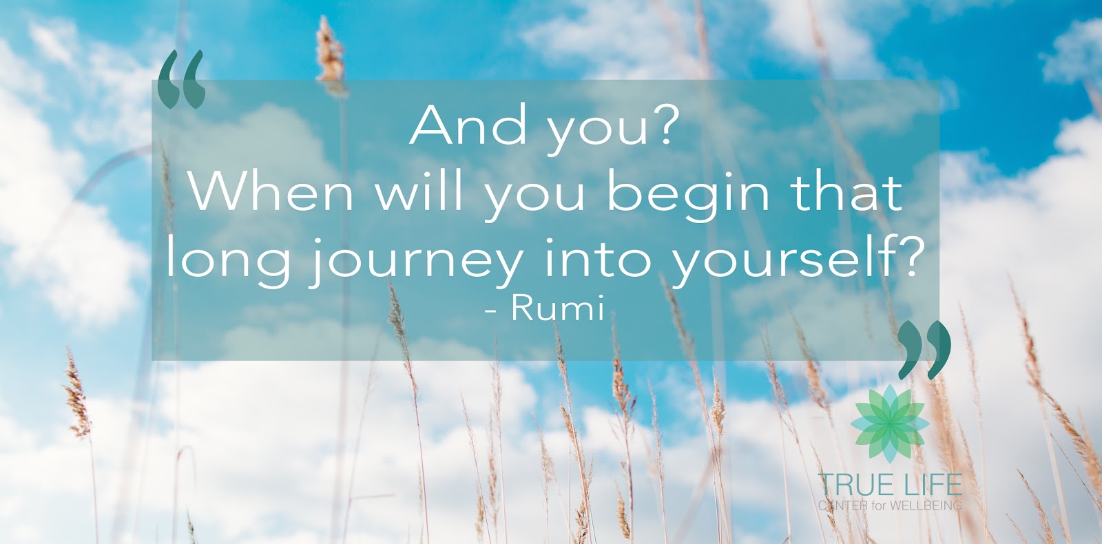 True Life Center for Wellbeing