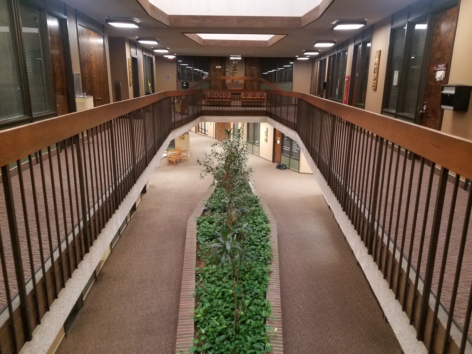 BHS - High Gain Drinking Driver Program